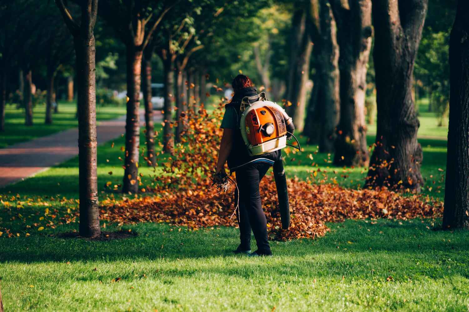 Best Stump Grinding Near Me  in South Monroe, MI